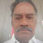 Arumuga Sevvel Rathinasabapathy Profile Picture