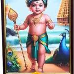 JEYASUGANYA SUGUMAR Profile Picture