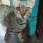 Sankari S Profile Picture