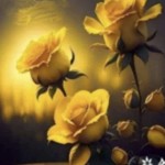 SIVAKUMAR N Profile Picture