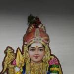 SENTHILKUMAR Sekar Profile Picture